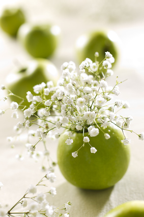 pomme grani décorée