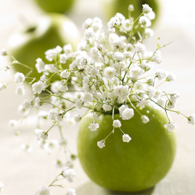 pomme vase